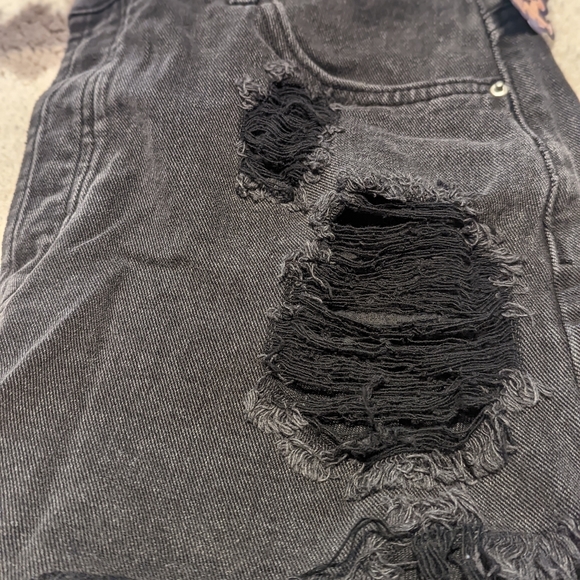 Bailey Ray The Nova - Picture 7 of 7